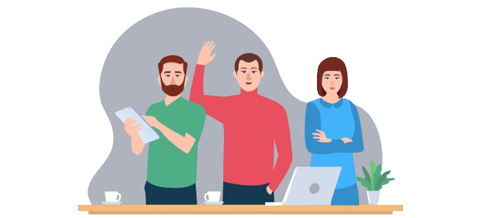 India's Accounting Partner Audits